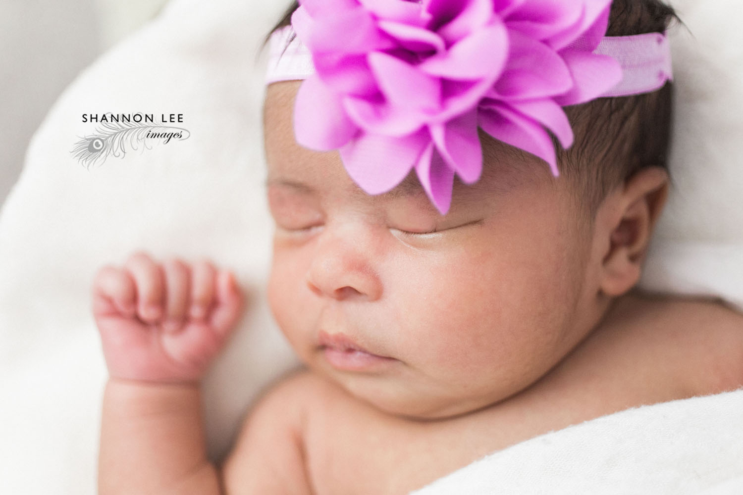 la-newborn-photographer005