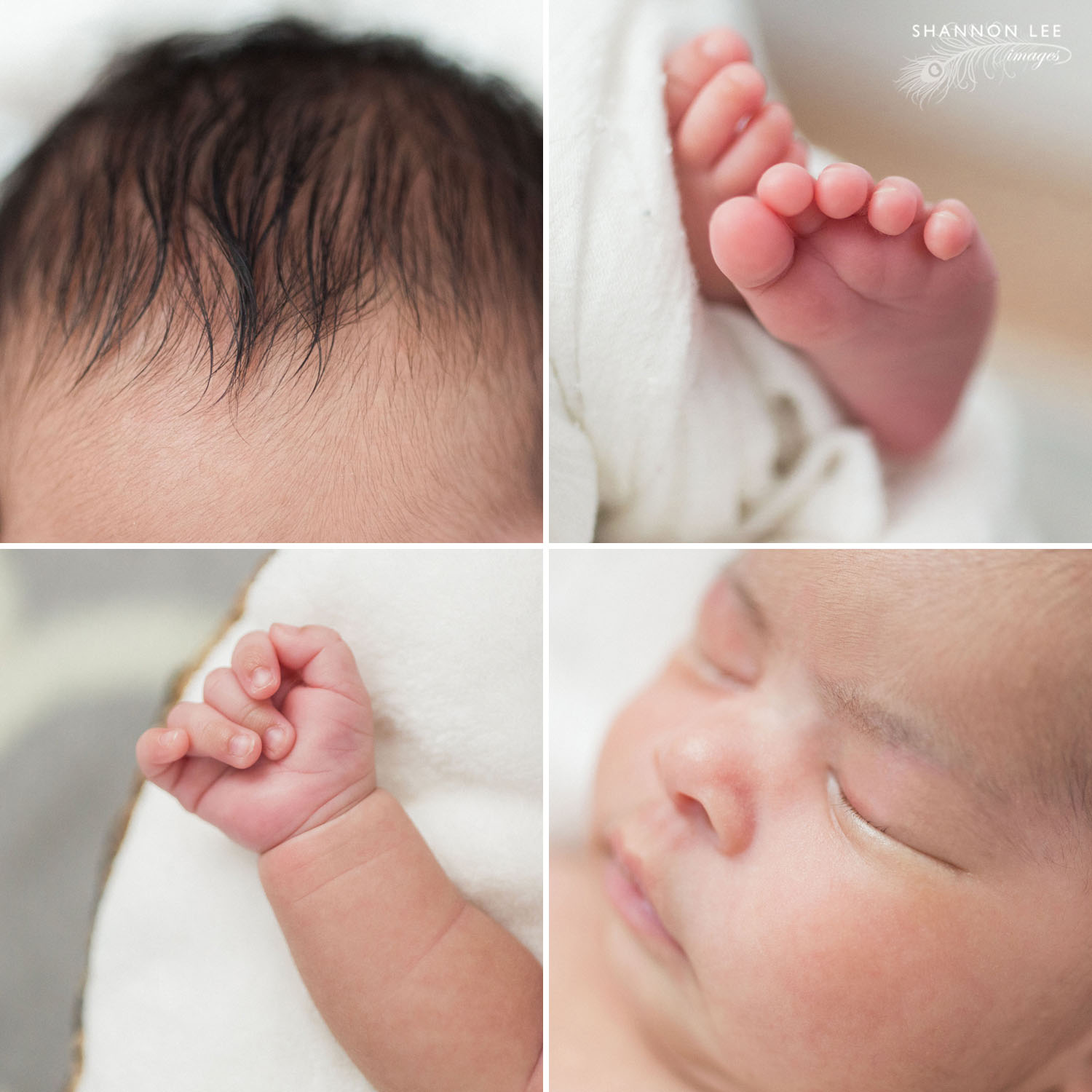 la-newborn-photographer006