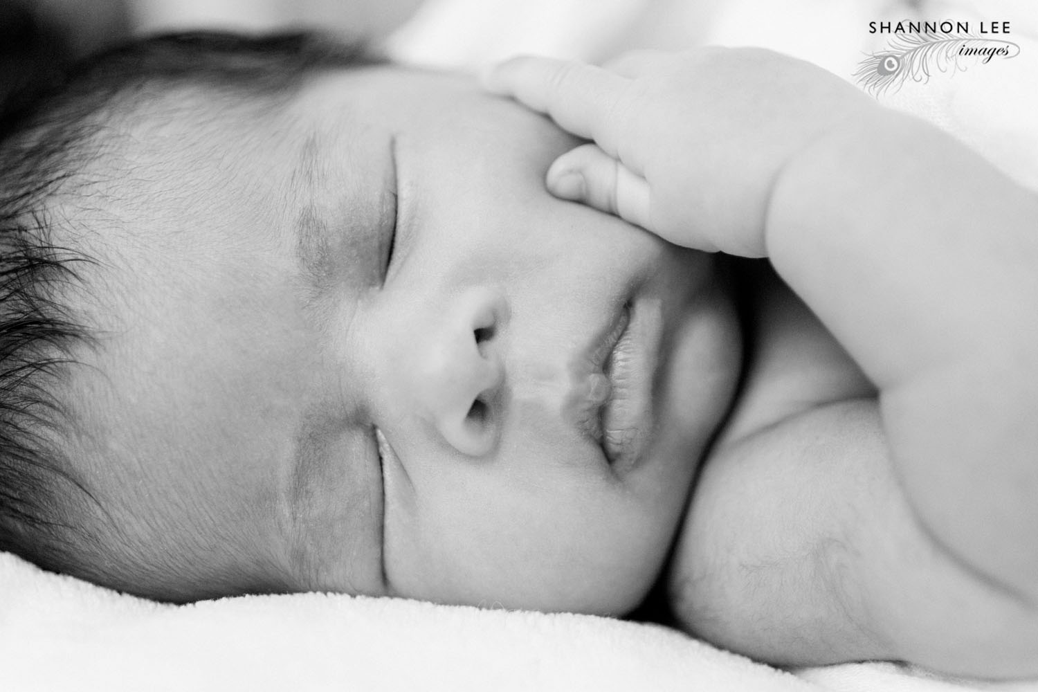 la-newborn-photographer007