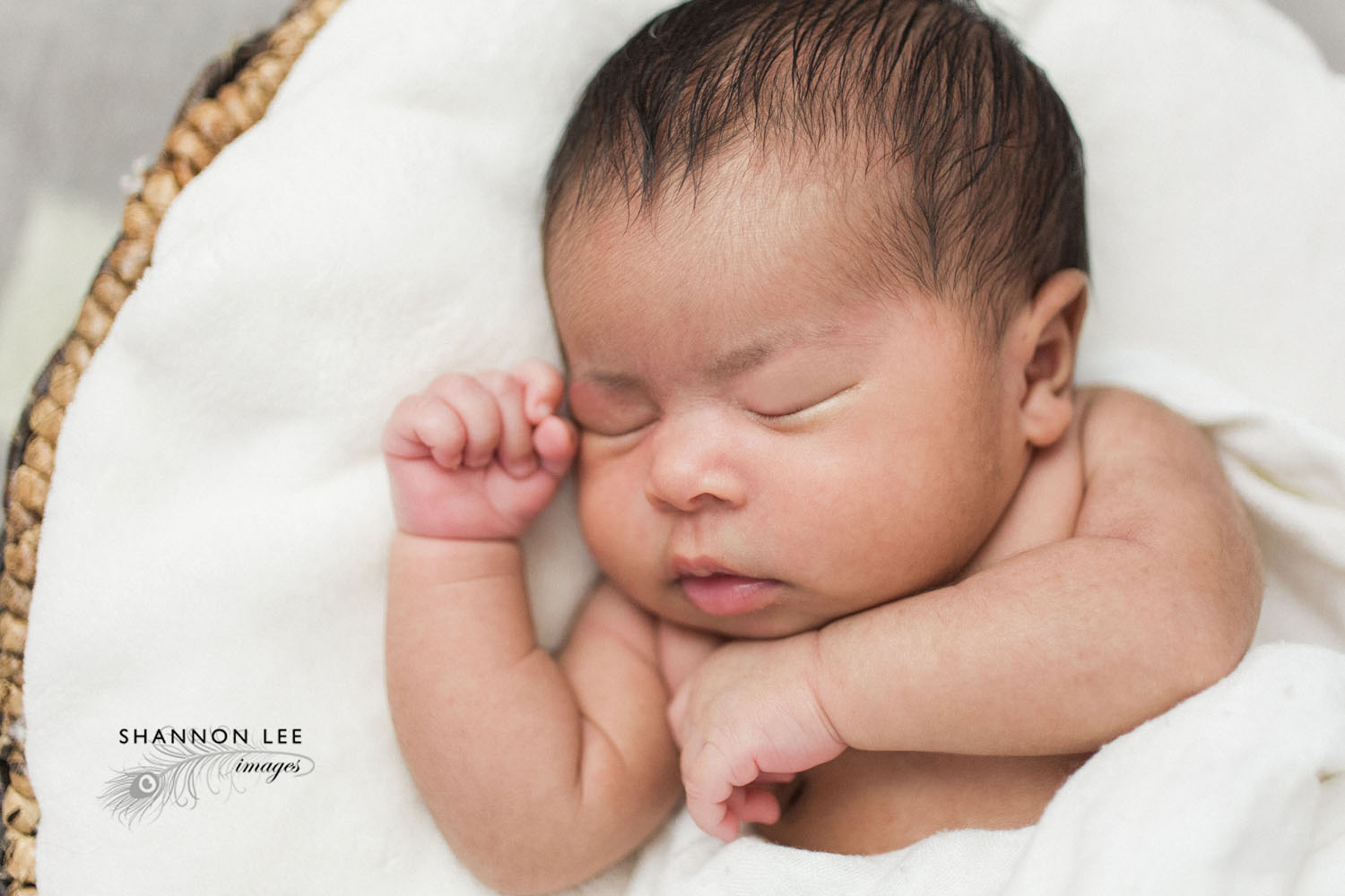la-newborn-photographer008