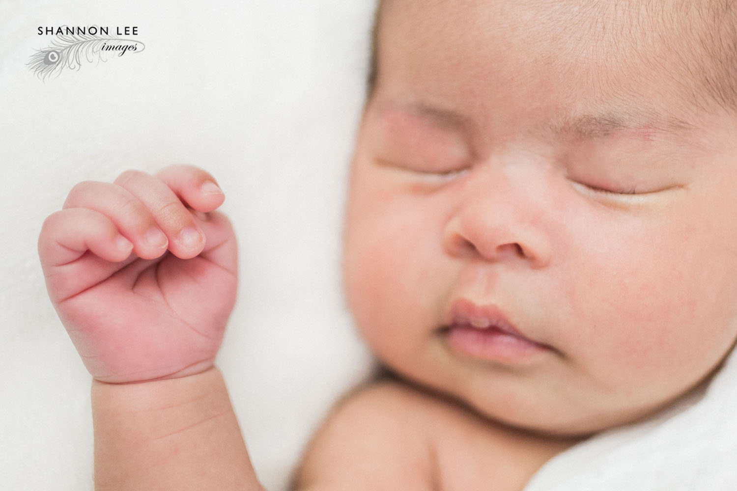 la-newborn-photographer009