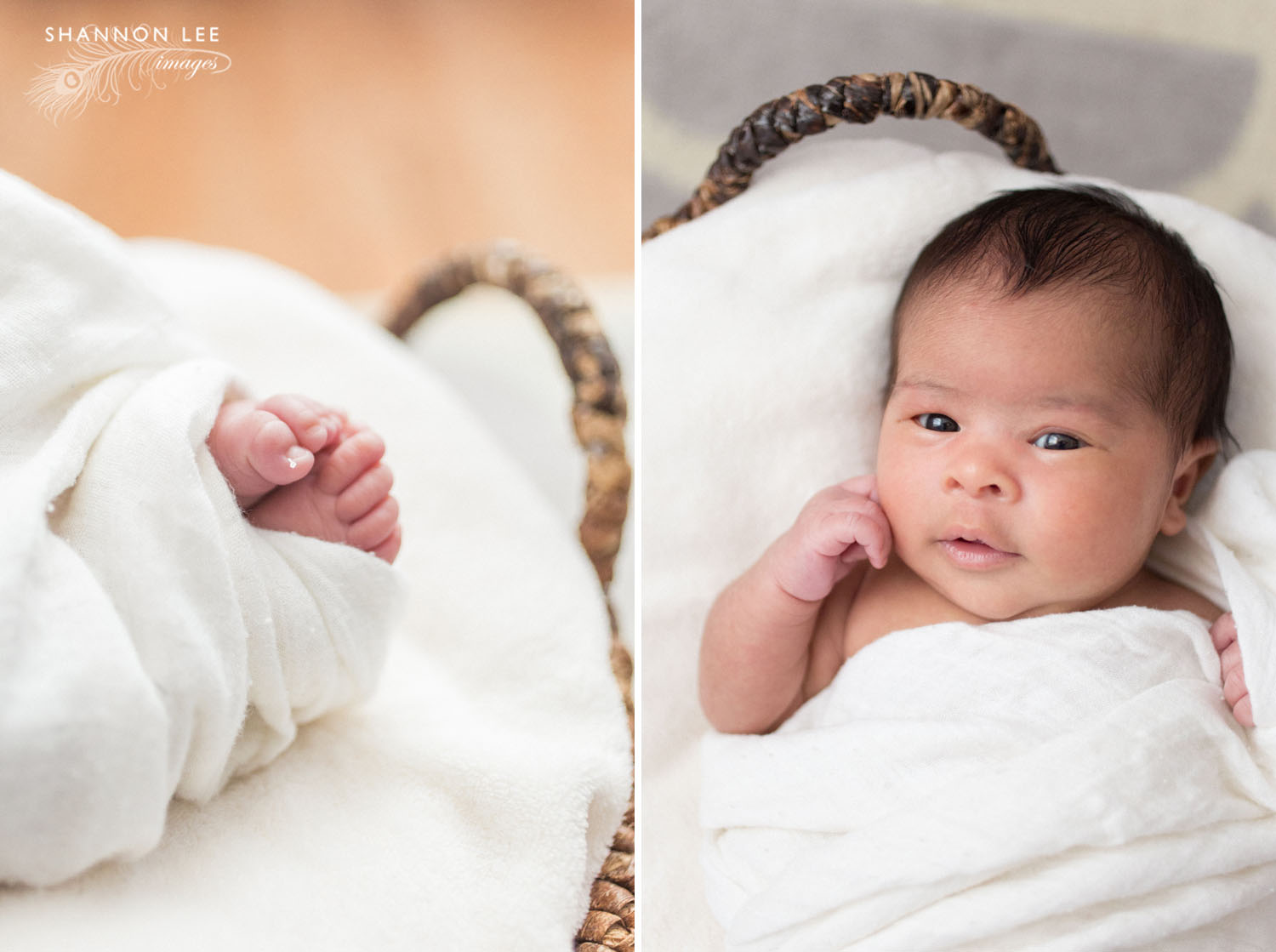 la-newborn-photographer010