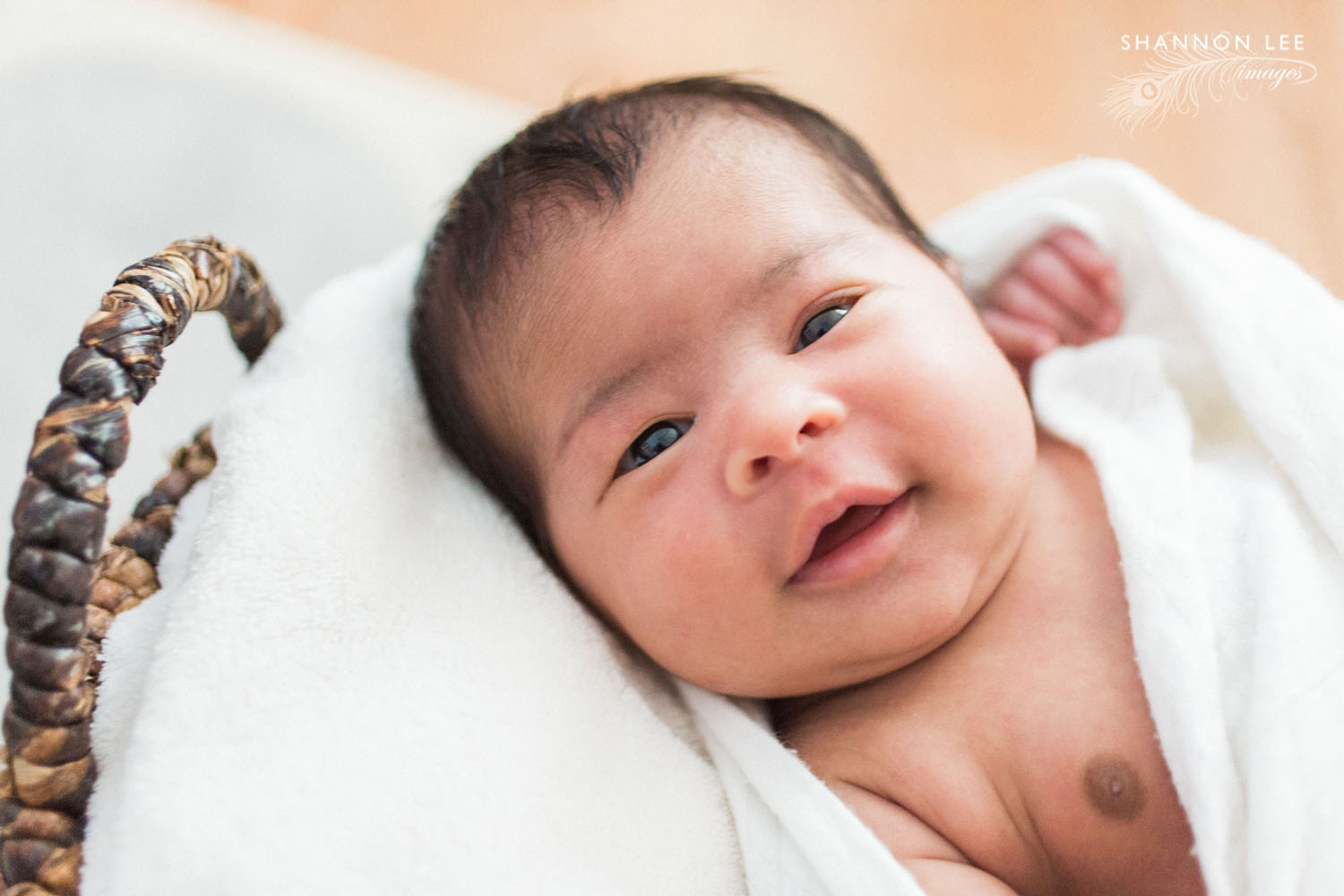 la-newborn-photographer011