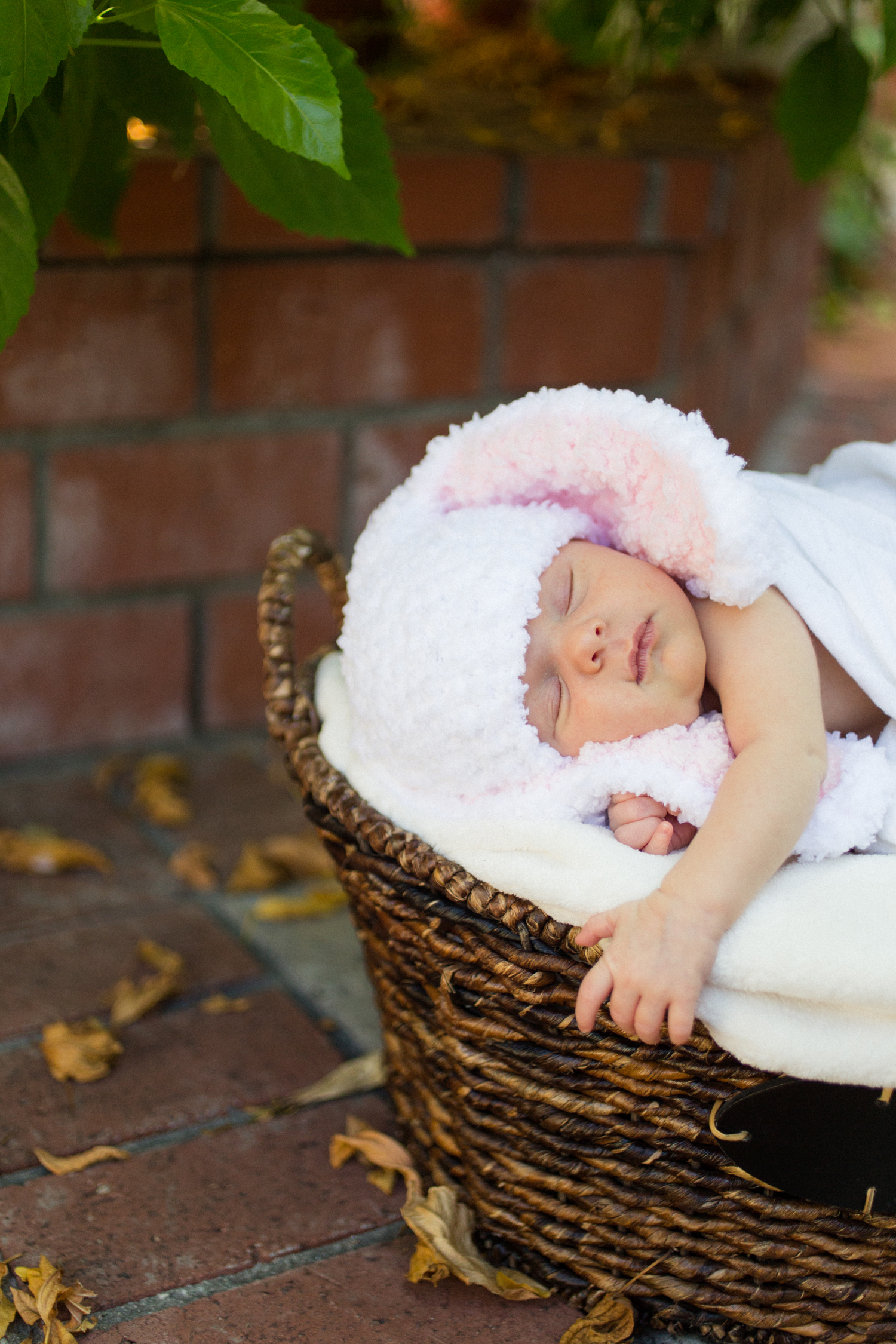 los-angeles-newborn-photographer005
