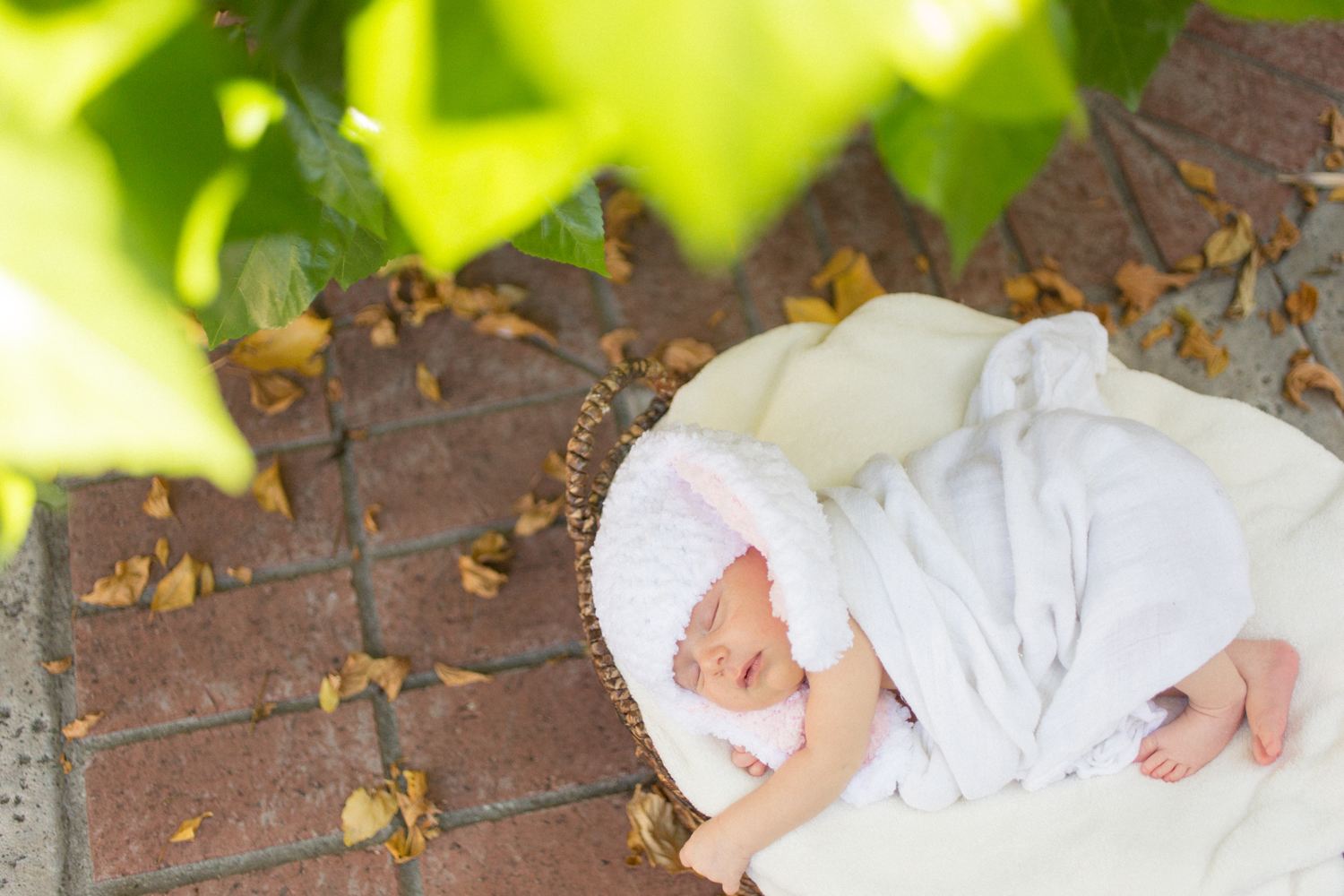 los-angeles-newborn-photographer008