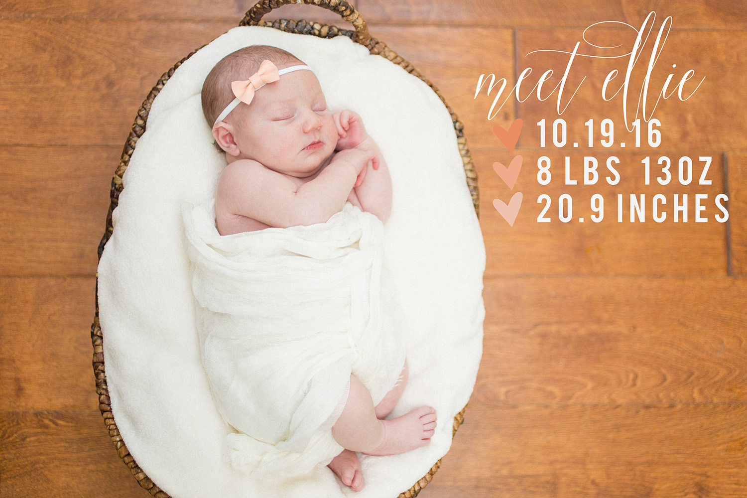 ellie-newb-101w