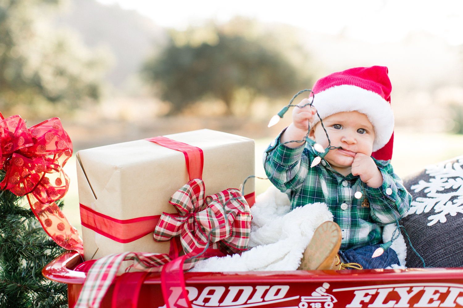 los-angeles-holiday-photographer016