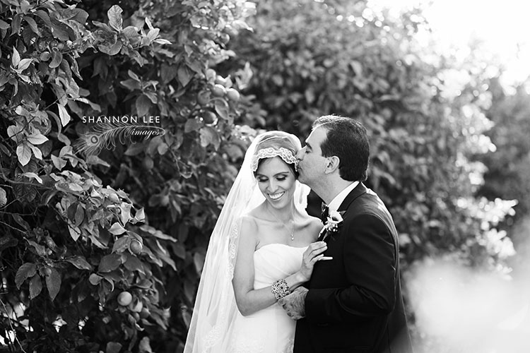 alma + krist are married! :: limoneira ranch wedding photographer